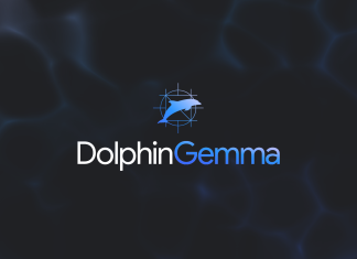 1 - DolphinGemma