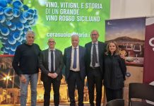 PRESENTAZIONE SMART VENUES VINITALY(1)