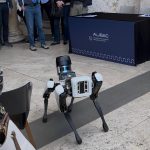 Cane Robot Spot