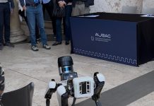 Cane Robot Spot