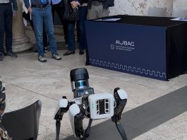 Cane Robot Spot