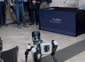 Cane Robot Spot