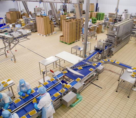 Martini Alimentare_produzione