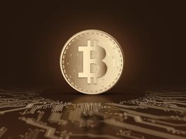 bitcoin-criptovalute