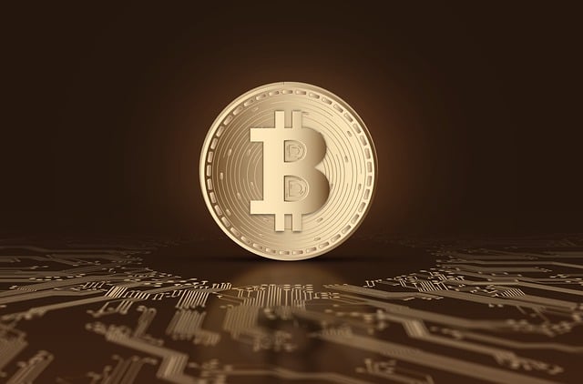 bitcoin-criptovalute bitcoin-criptovalute