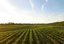 Agrifood