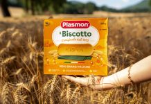 Plasmon