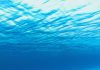 SEA-TRACE
