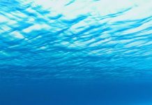 SEA-TRACE