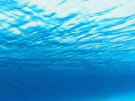 SEA-TRACE