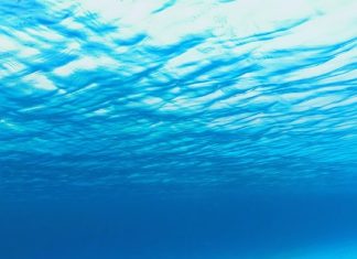 SEA-TRACE