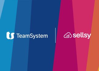 TeamSystem