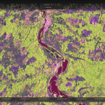 Inondazioni e incendi boschivi