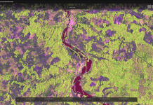 Inondazioni e incendi boschivi