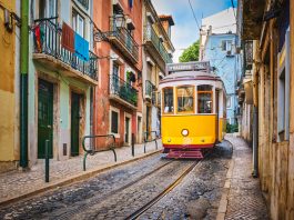 Trasporto Pubblico Locale: la trasformazione digitale è una realtà concreta Trasporto Pubblico Locale - tram - autobus