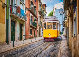 Trasporto Pubblico Locale - tram - autobus