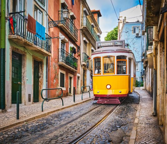 Trasporto Pubblico Locale - tram - autobus