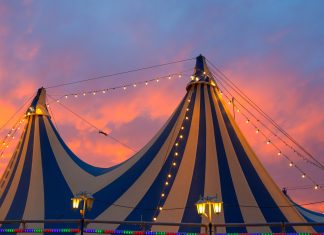 Cirque du Soleil - circo - motion array