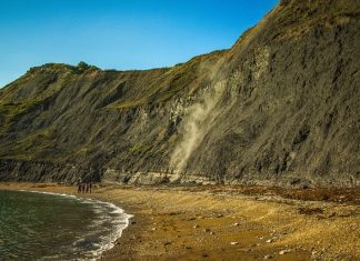 Avacam frane frana pixabay