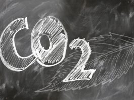 Cattura della CO2: l’Italia è il terzo Paese in UE per capacità di stoccaggio Cattura della CO2: