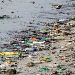 La Blockchain utilizzata nei porti per tracciare i rifiuti blockchain - rifiuti - mare