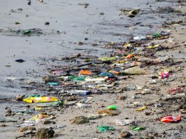 blockchain - rifiuti - mare