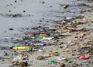 blockchain - rifiuti - mare