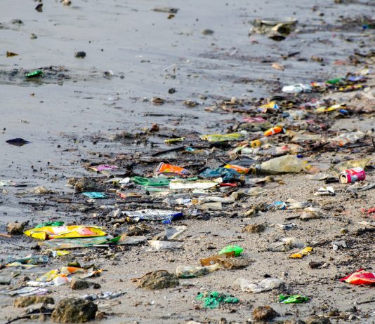 La Blockchain utilizzata nei porti per tracciare i rifiuti blockchain - rifiuti - mare