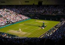 Torneo di Wimbledon: come si digitalizza grazie l’AI e al cloud? Torneo di Wimbledon - tennis - pixabay
