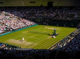 Torneo di Wimbledon: come si digitalizza grazie l’AI e al cloud? Torneo di Wimbledon - tennis - pixabay