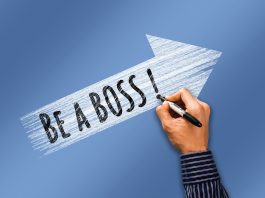 ceo italiani - manager - imprenditori - pixabay