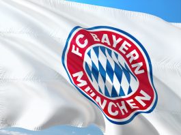 FC Bayern pixabay
