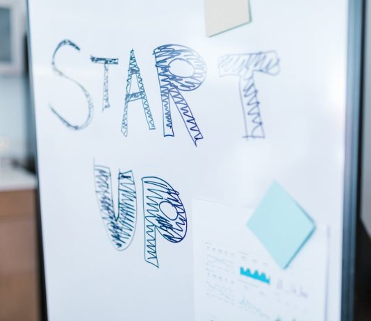 Call 4 Circular Startup: ecco i 10 vincitori Call 4 Circular Startup - pexels