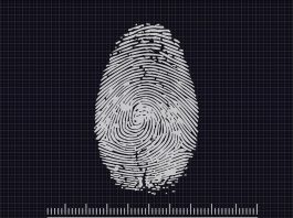 Oltre il 67% degli attacchi ha origine dalle identità digitali compromesse identità digitali - pixabay