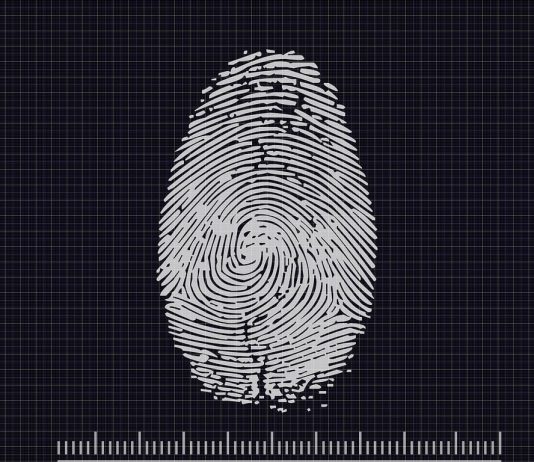 Oltre il 67% degli attacchi ha origine dalle identità digitali compromesse identità digitali - pixabay