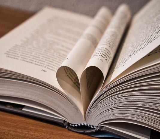 Distribuzione scolastica - libri - pixabay