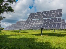 energia solare - pannello - fotovoltaico - pixabay
