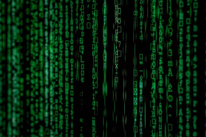 algoritmi codice underwriting - pexels algoritmi codice underwriting - pexels