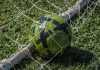 calcio coppa del mondo pexels