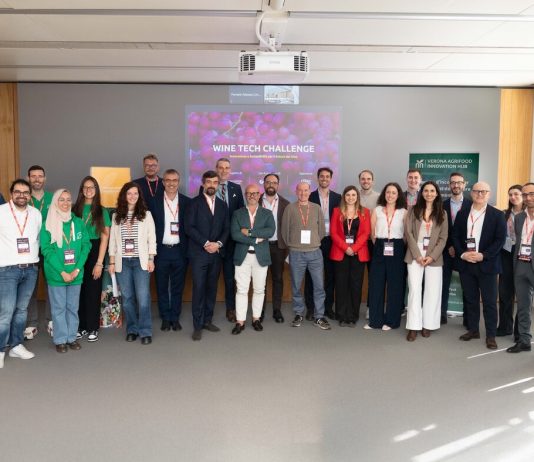 Wine Tech Challenge: svelate le 8 startup che guideranno il futuro del vino italiano Wine Tech Challenge vino