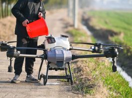 Agritech del Mezzogiorno: il Sud come laboratorio dell’innovazione agroalimentare Agritech pexels