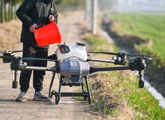 Agritech del Mezzogiorno: il Sud come laboratorio dell’innovazione agroalimentare Agritech pexels