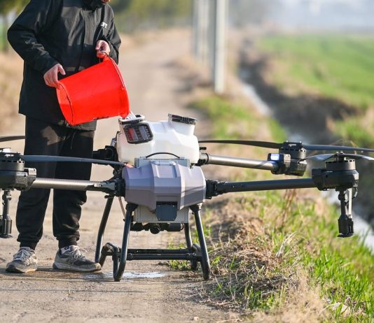 Agritech del Mezzogiorno: il Sud come laboratorio dell’innovazione agroalimentare Agritech pexels