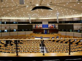 PA digitale pubblica amministrazione parlamento pexels
