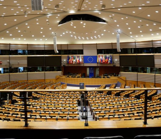 PA digitale pubblica amministrazione parlamento pexels