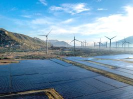 Decarbonizzazione: idrogeno rinnovabile e cattura della CO₂ le due leve su cui spingere Decarbonizzazione pexels