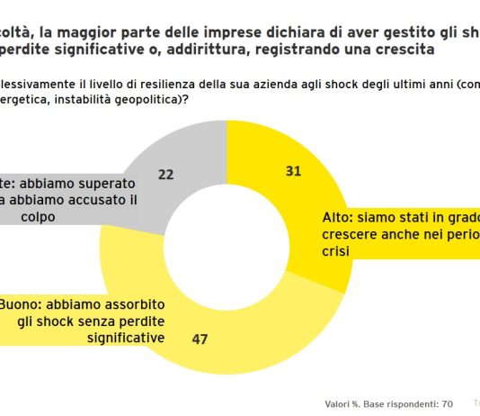 Imprese italiane resilienti: il 78% assorbe le crisi, il 97% investe nei prossimi due anni imprese italiane