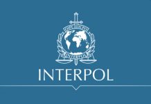 Email fasulle dell’Interpol diffondono ransomware: nel mirino le PMI Interpol