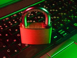 La cybersecurity awareness deve cambiare pelle: al centro, la qualità delle decisioni delle persone cybersecurity awareness sicurezza informatica unsplash