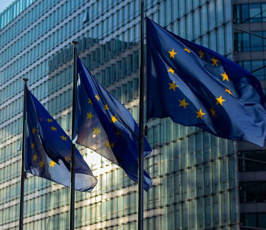 Il gap della sovranità: perché gli MSP devono ripensare il ripristino nell’era del SaaS sovranità europa bandiere pexels